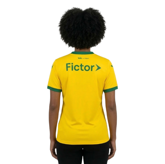 Camisa Feminina Puma Palmeiras Third 2025/26