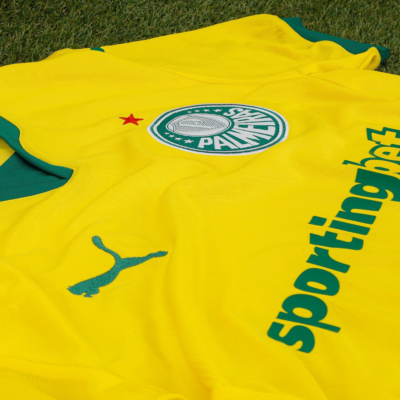Camisa Puma Palmeiras III 2025/26 Torcedor