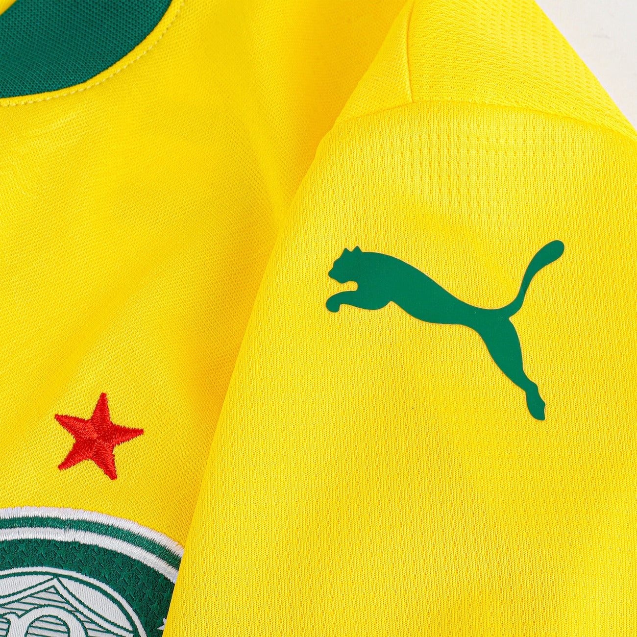 Camisa Puma Palmeiras III 2025/26 Torcedor