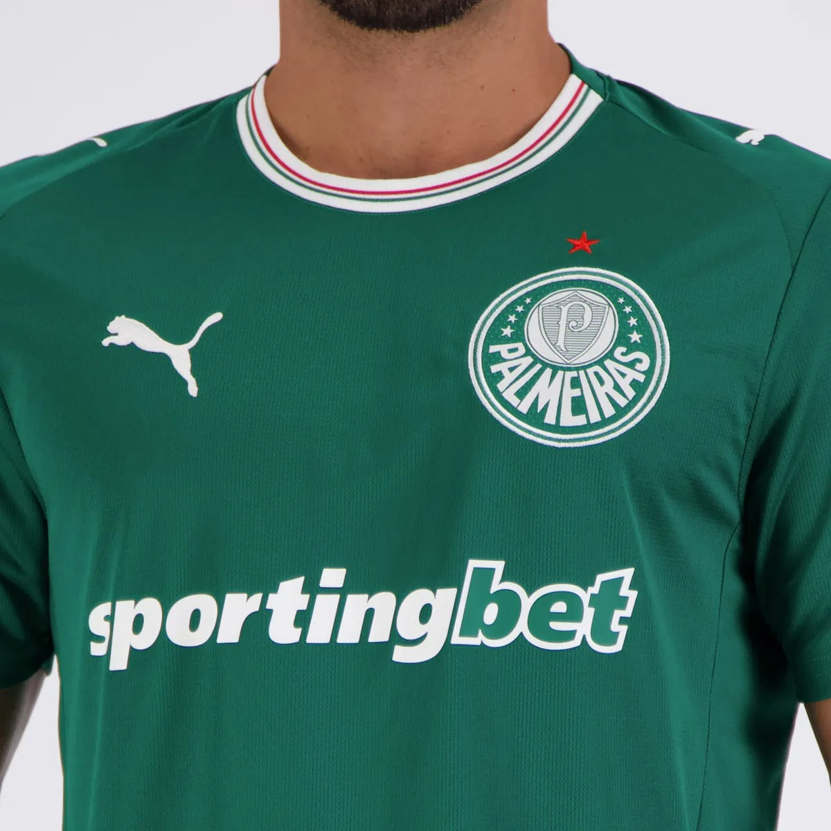 Camisa Puma Palmeiras Home 2026/27 Torcedor